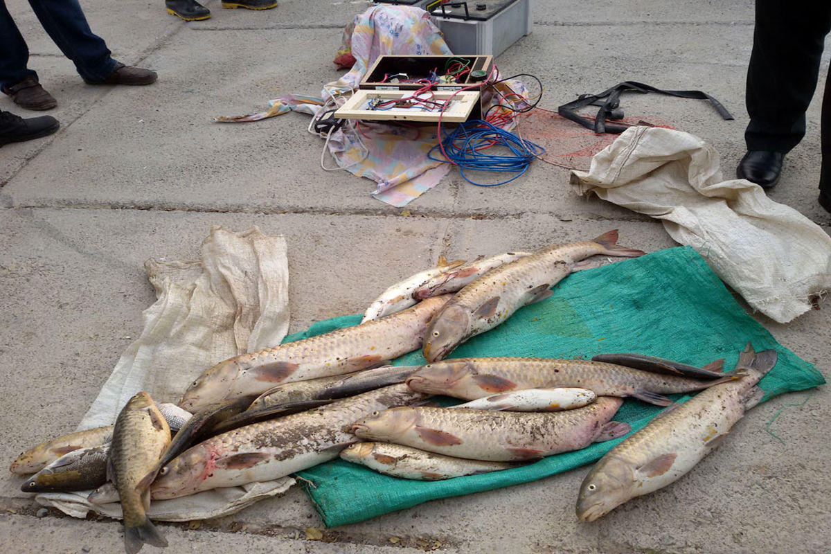 دستگیری سه متخلف صید غیر مجاز ماهی در پارک ملی دز
