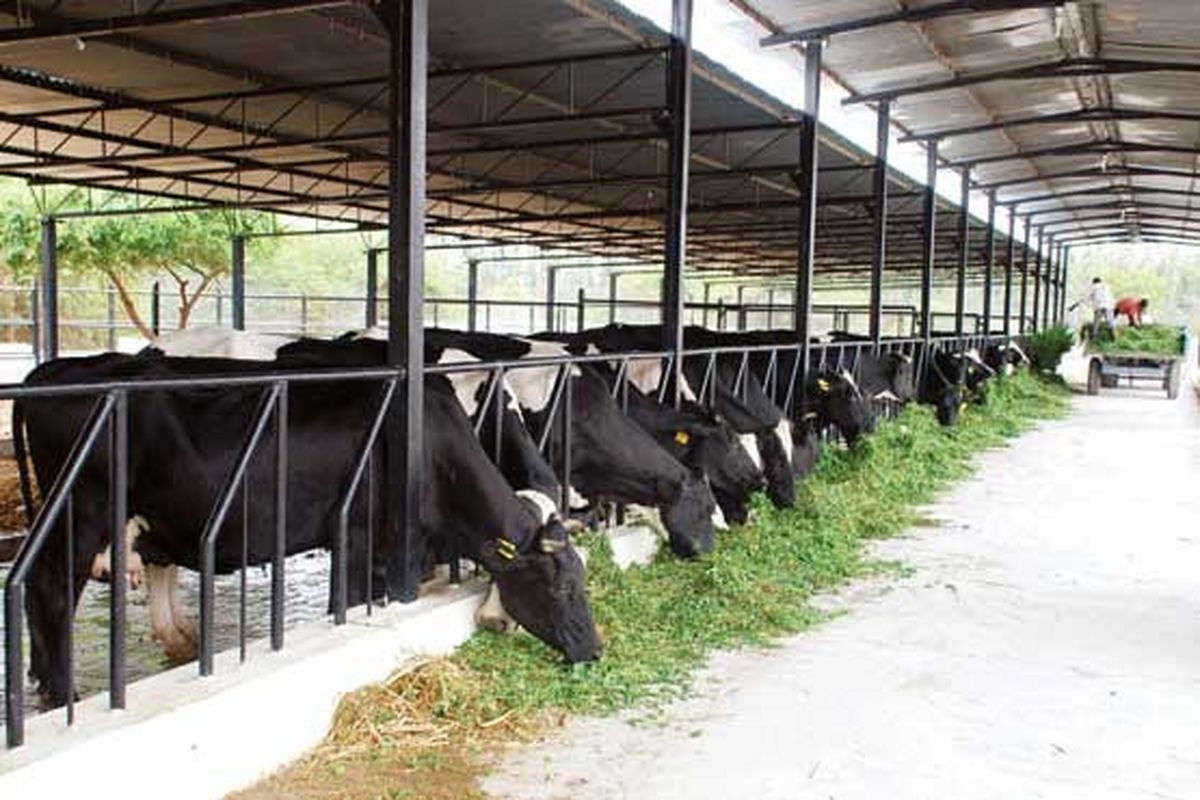 چهار طرح راکد کشاورزی در شهرستان سرعین فعال شد