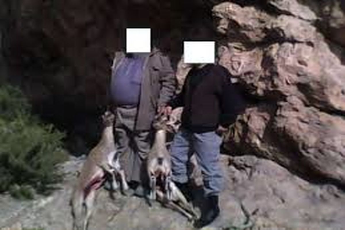 ۳۲۰ شکارچی غیرمجاز در استان اردبیل دستگیر شدند