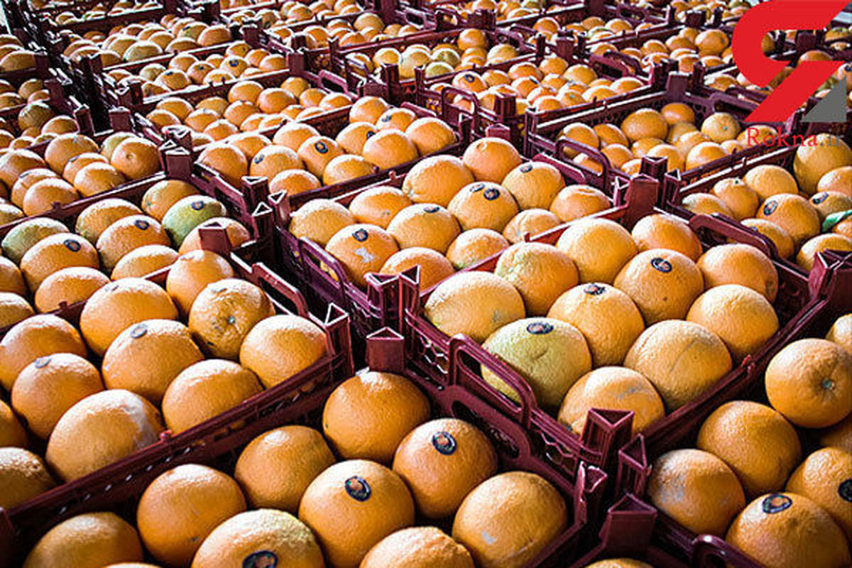 توزیع گوشت مرغ منجمد استاندارد ،پرتقال و سیب با قیمت مصوب همچنان ادامه دارد