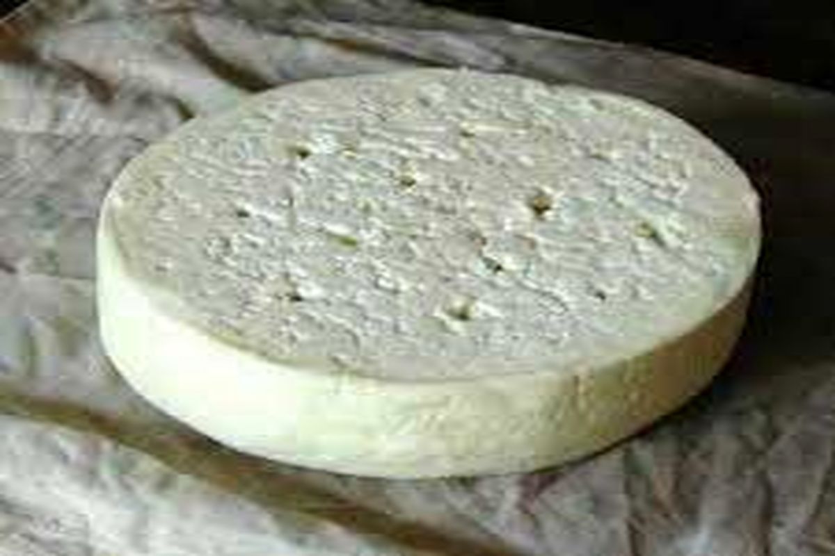 کشف و ضبط یک تن پنیر فاسد در شهرستان مهاباد
