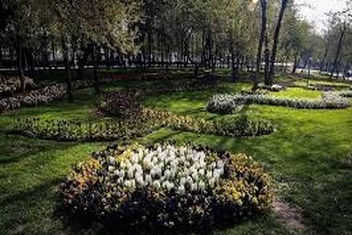 تم گل کاری شهر اردبیل در سال جدید عوض می‌شود/گل جدید در پارکهای اردبیل کاشته می شود