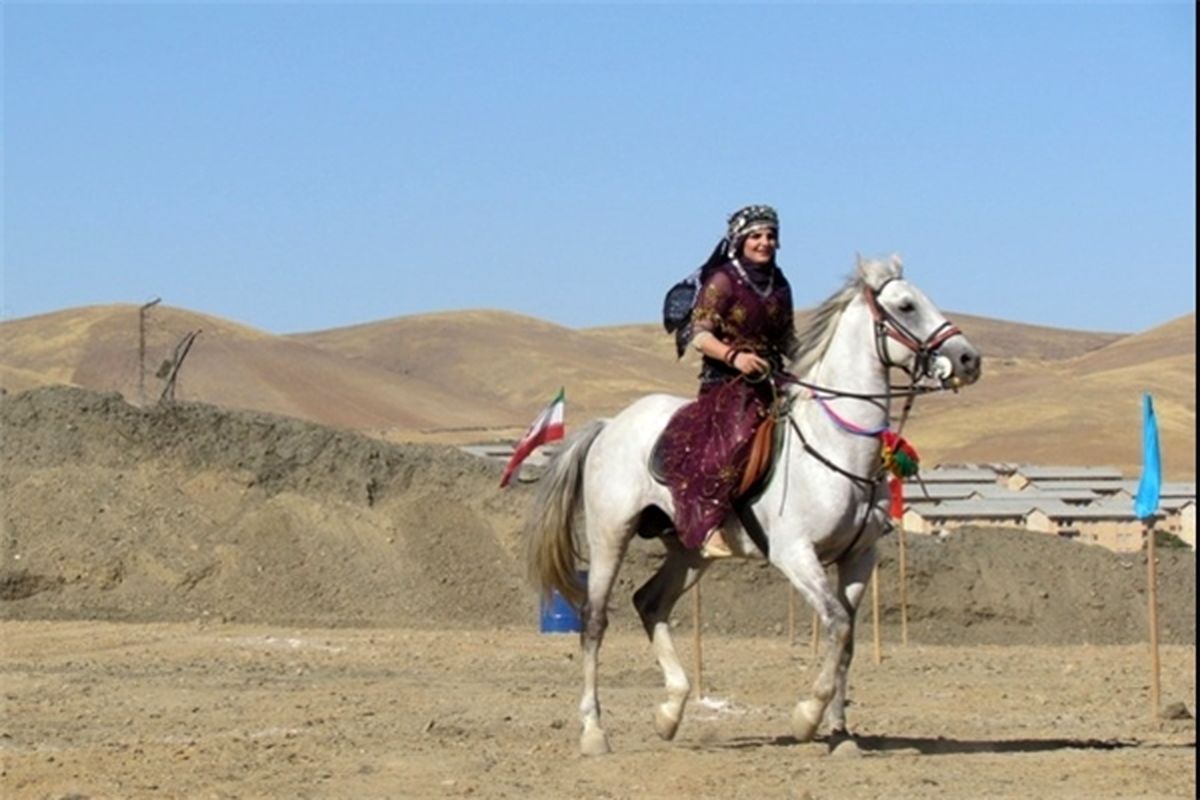 تأسیس انجمن صنفی اسب‌ داران و پرورش دهندگان اسب در کرمانشاه