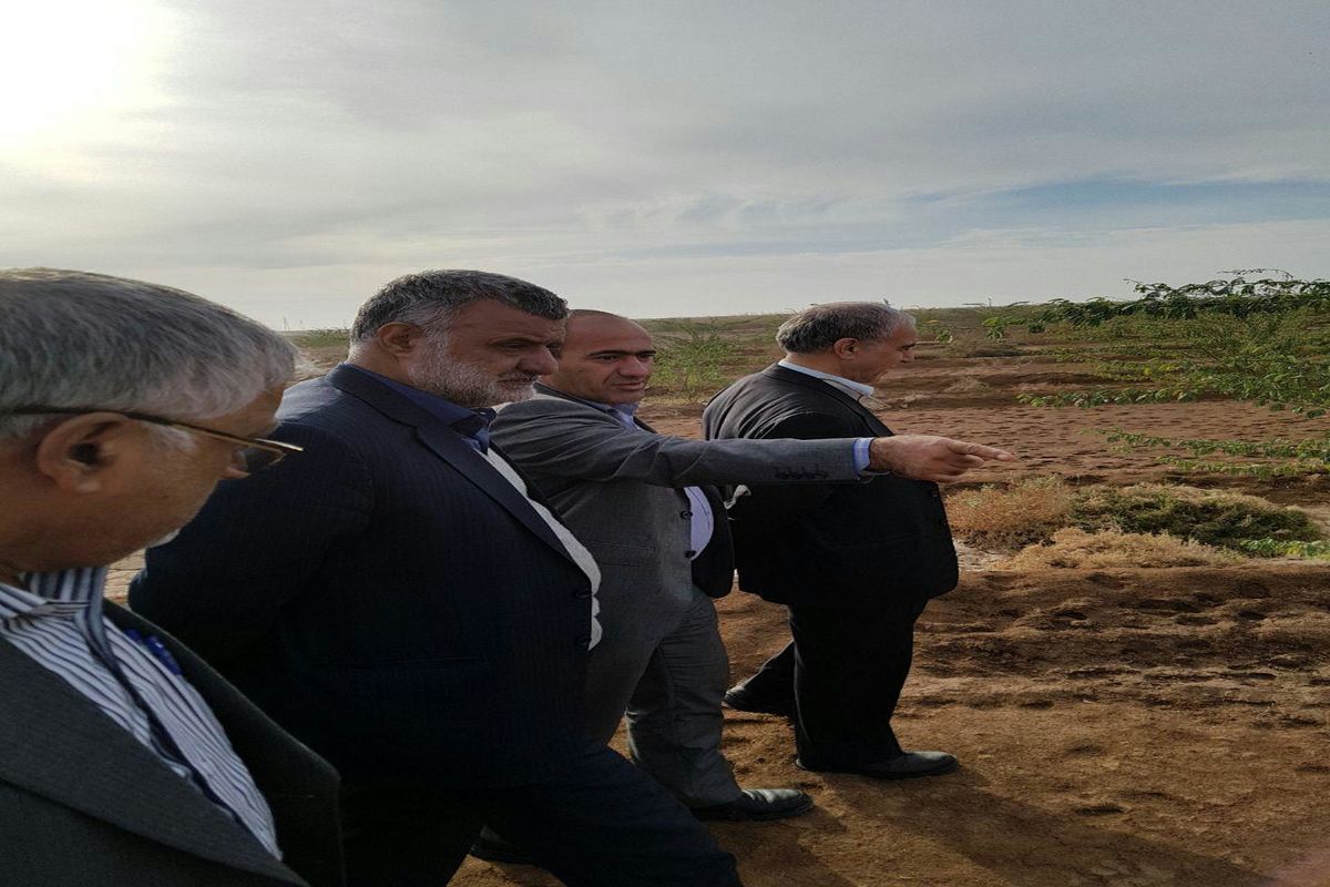 وزیر جهادکشاورزی از کانون ریزگردها در اهواز بازدید کرد