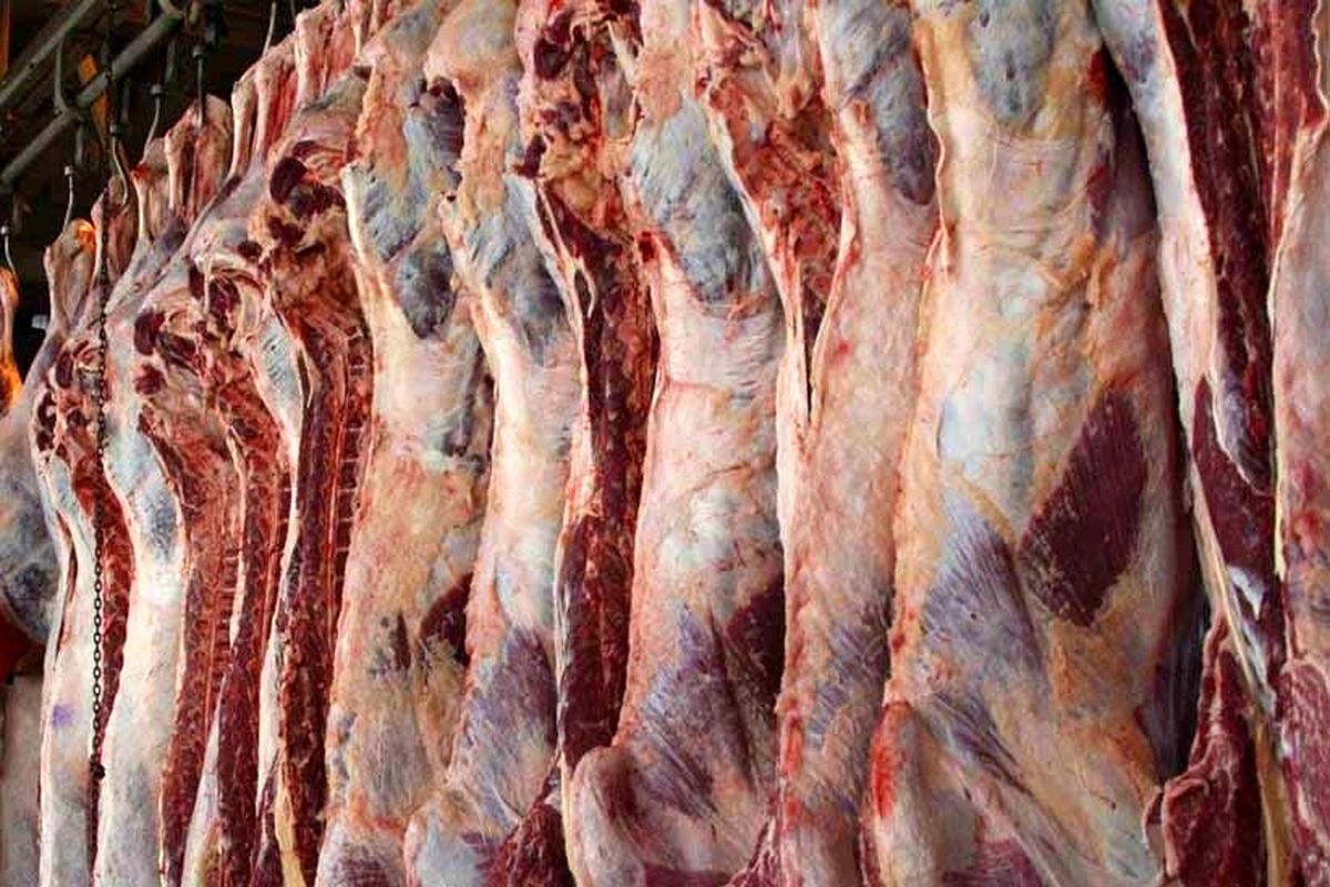 اکثر کشتارگاه‌ها تعطیل هستند/ تغییری در قیمت گوشت برزیلی نخواهیم داشت