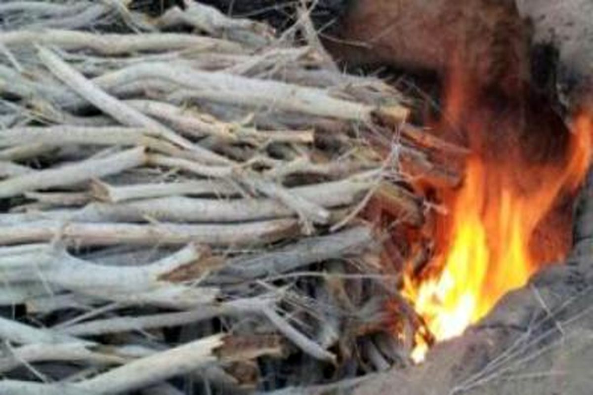 کشف و تخریب سه کوره ذغال در منطقه چاهو شهرستان بندرعباس