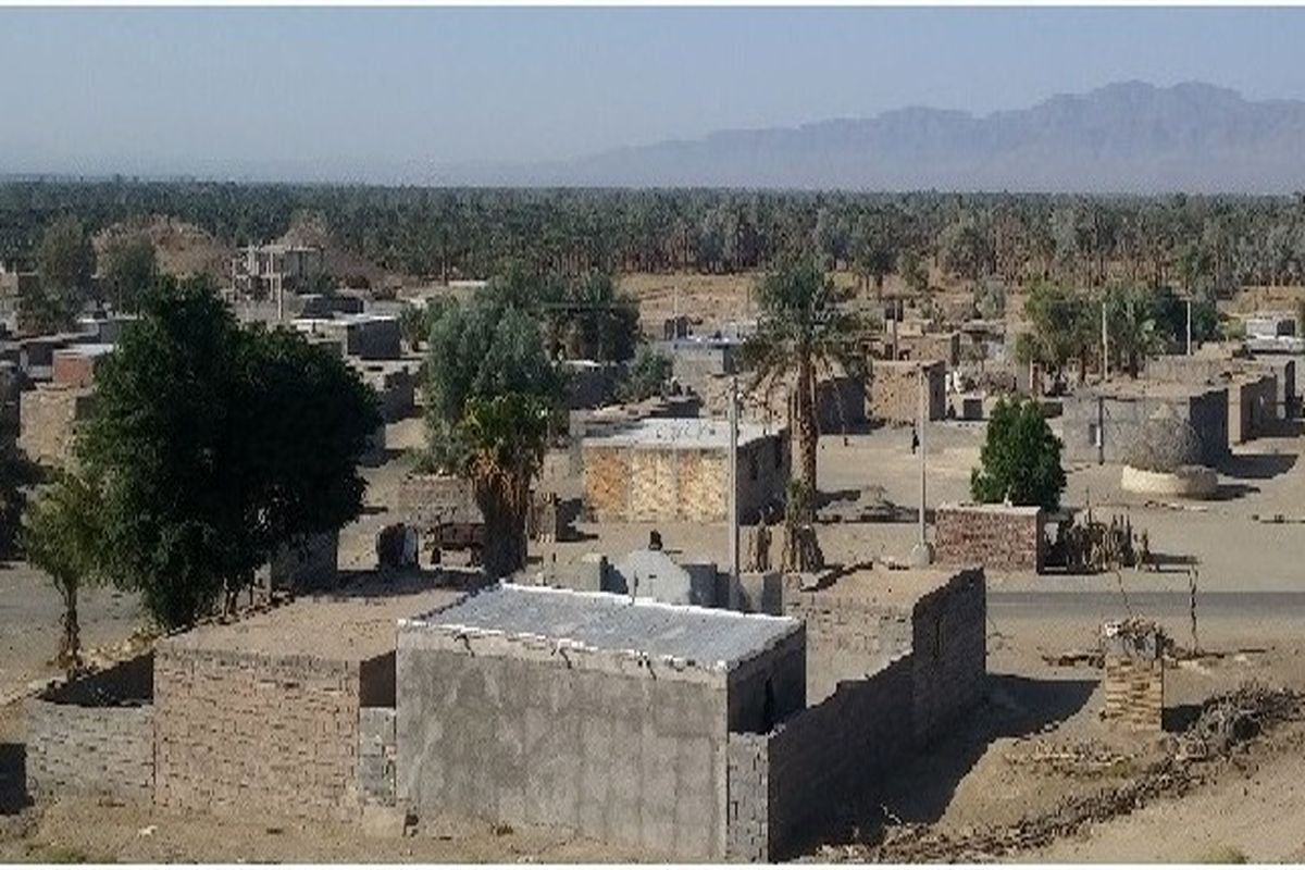 پیشگیری از قطع درختان جنگلی در منطقه کوهشاه شمالی و جنوبی شهرستان حاجی آباد