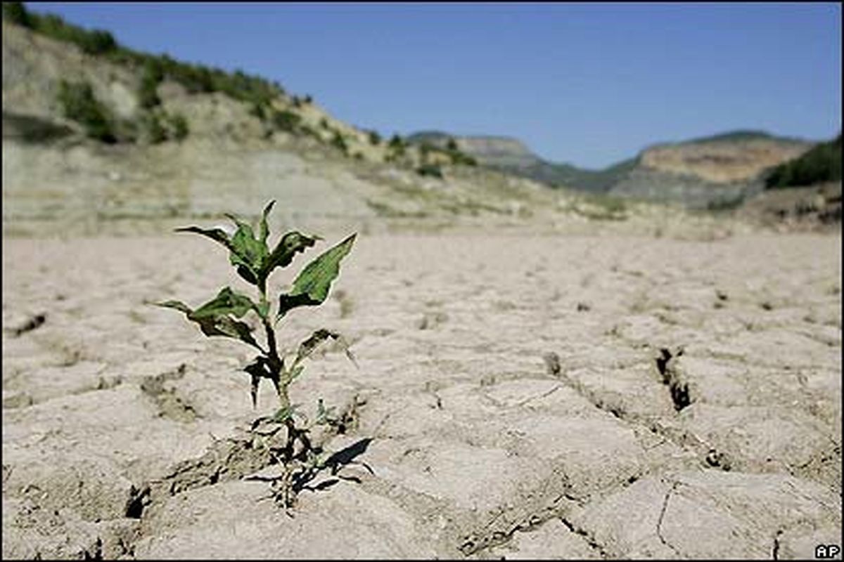 ۱۰۰ درصد مساحت استان درگیر خشکسالی است