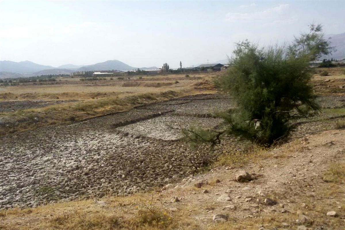 رفع تصرف بیش از ۴/۵ هکتار از اراضی ملی در شهرستان رودان‎