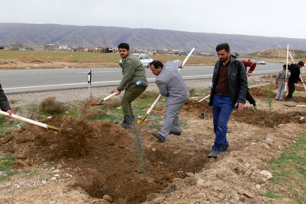 ۲۰ هزار اصله نهال در شهرک ها و نواحی صنعتی قم غرص می شود