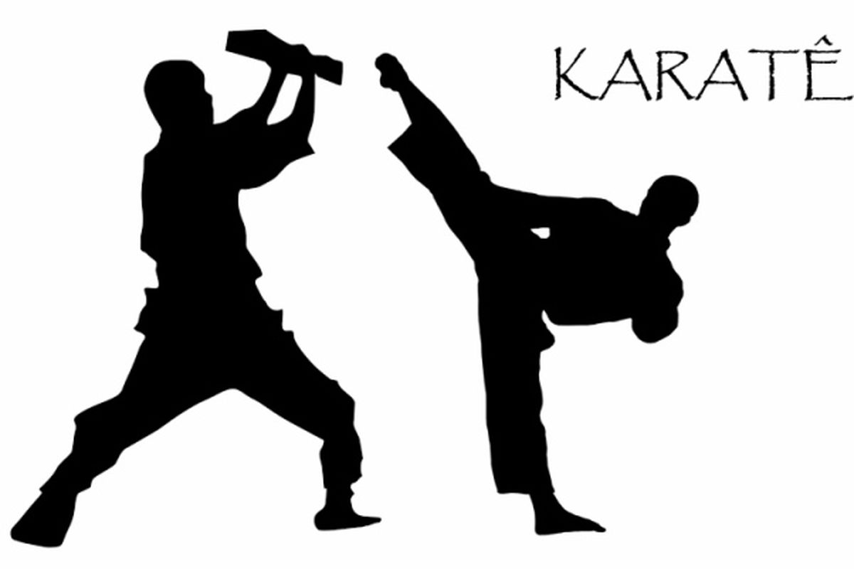چهارمین نشست شورای برون مرزی فدراسیون کاراته