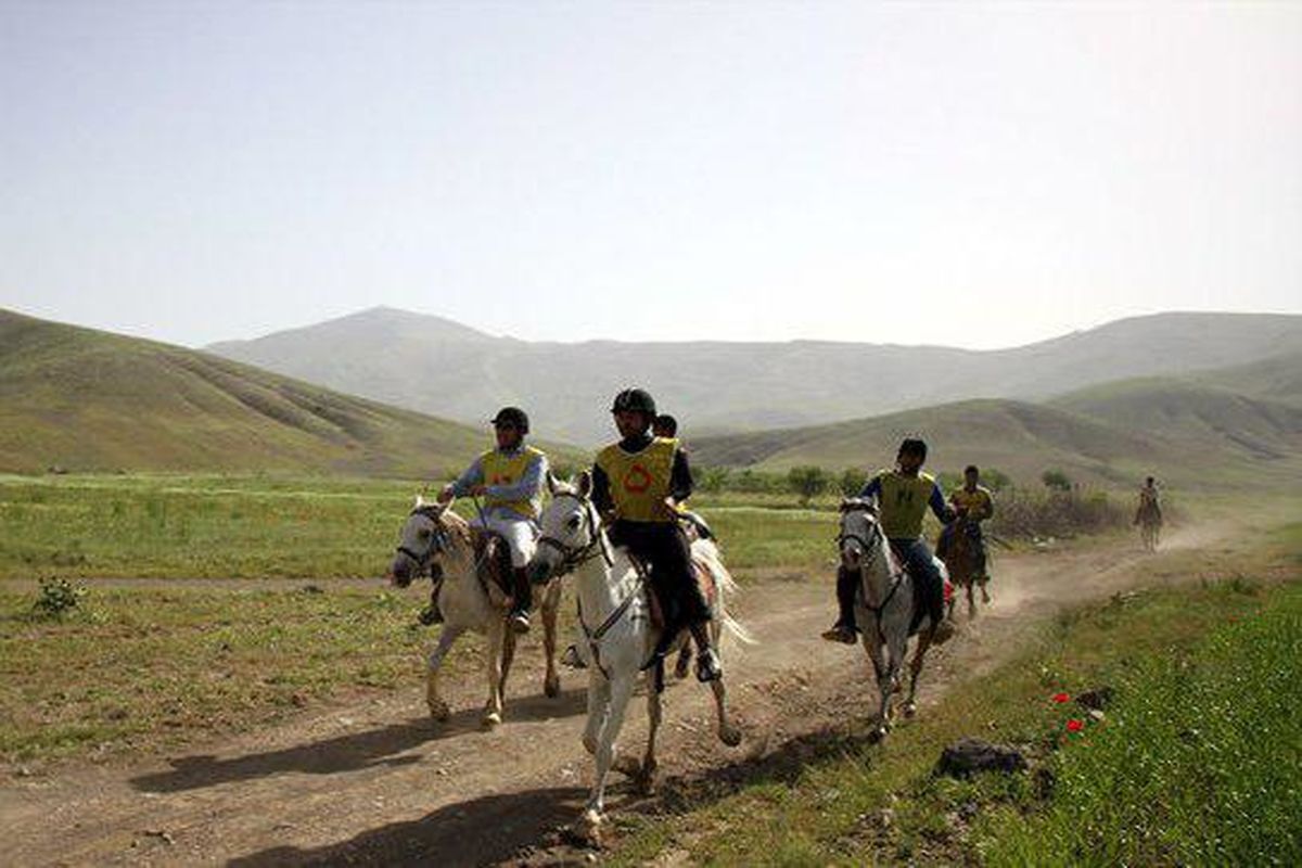 مسابقات سوارکاری استقامت قهرمانی کشور در سنندج به پایان رسید