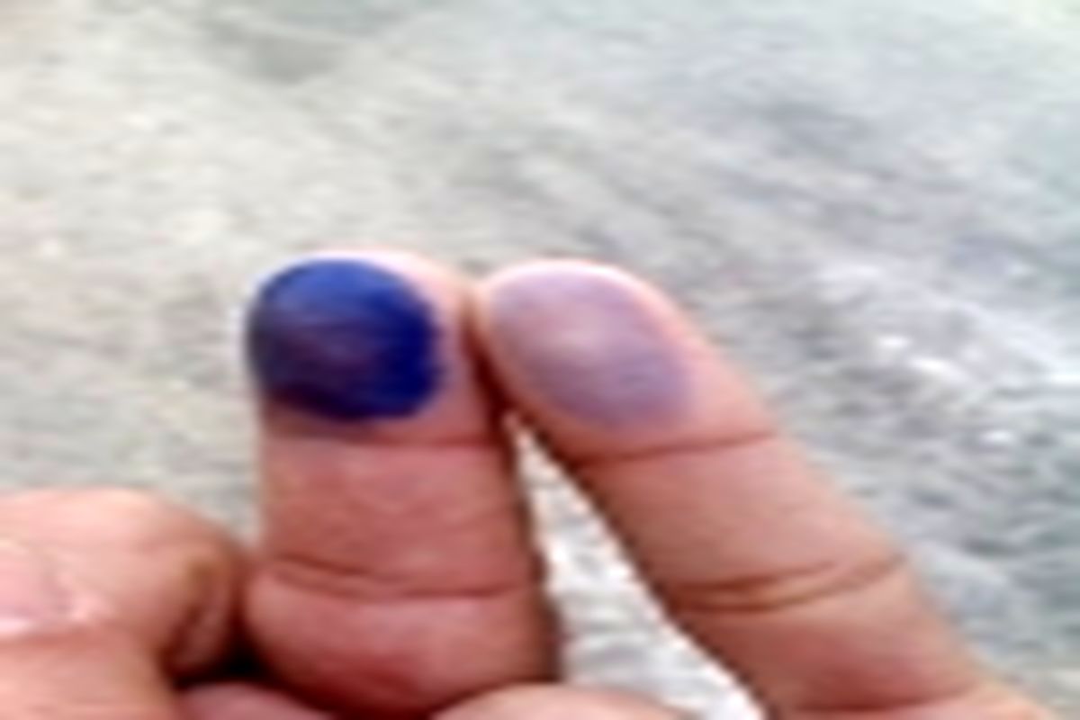 همایش رای اولی ها در تایباد برگزار شد