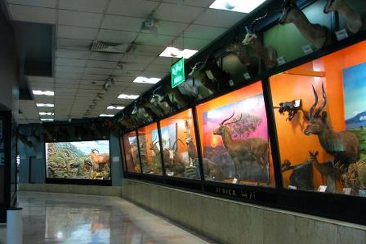 بازدید از موزه تنوع زیستی پردیسان رایگان است