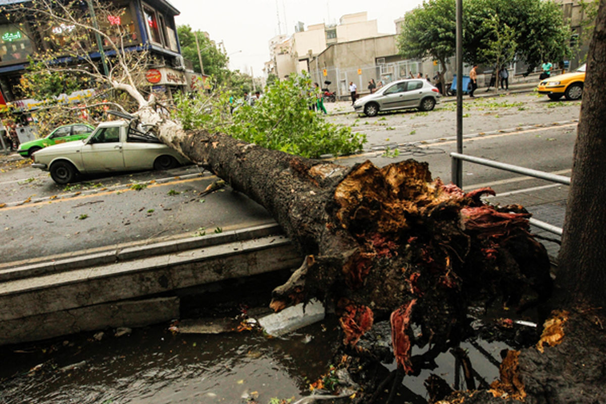 جزئیات تلفات طوفان ۹۰ کیلومتری تهران