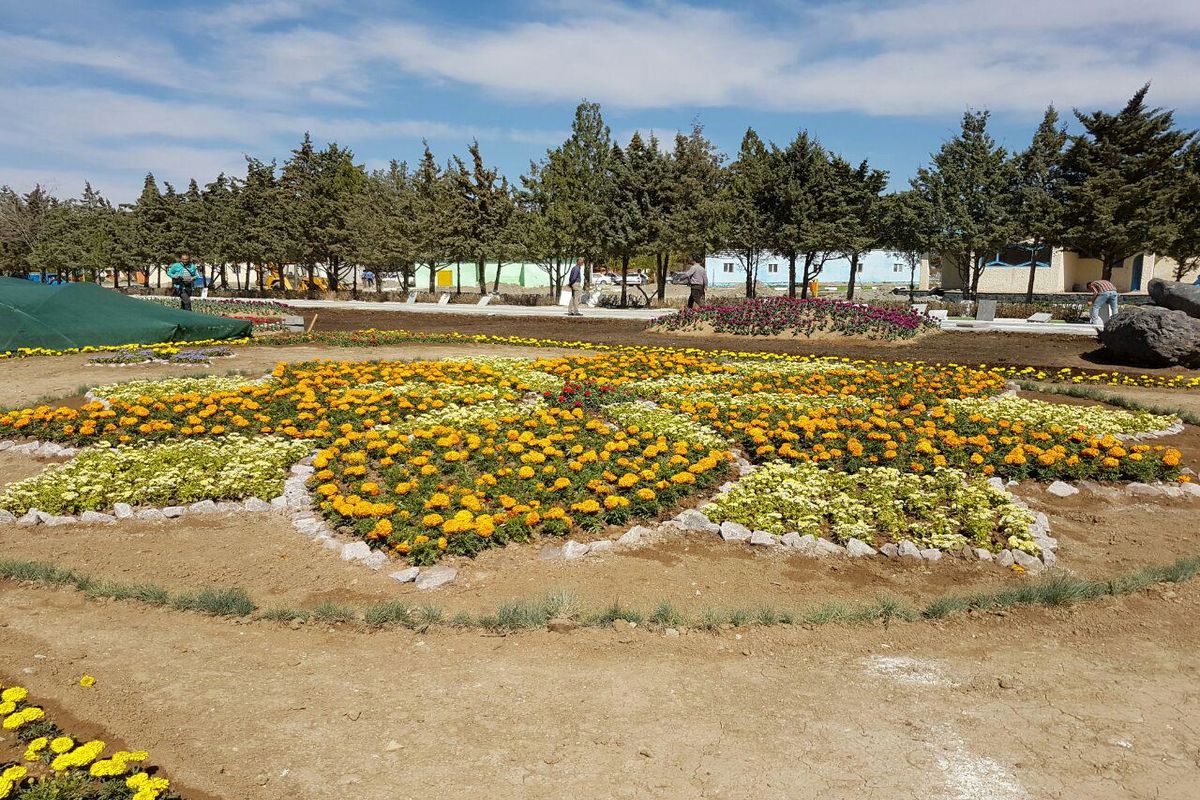 چی چست ارومیه میزبان۵۰۰ هزار بوته انواع گل و گیاه زینتی است