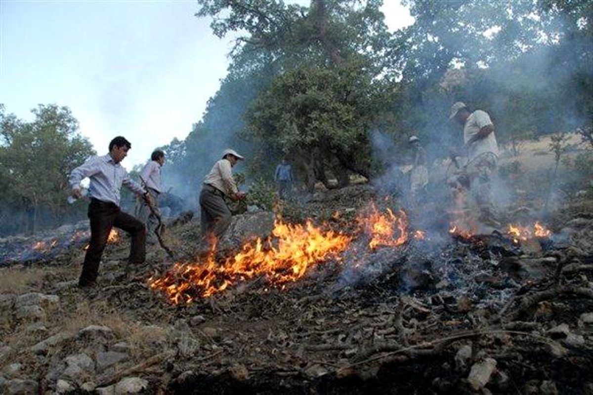 مهار حریق  ۸ هزار متر مربع از جنگل های سوزنی برگ بهشهر