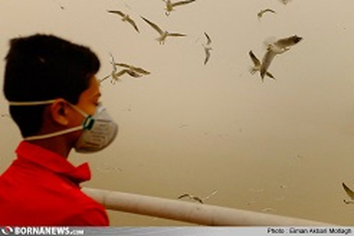 تدوین مستند «ماه آبی» ویژه بحران ریزگردهای خوزستان به پایان رسید
