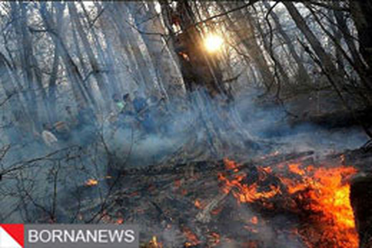راه اندازی غیرمجاز کوره زغال عامل آتش سوزی جنگل های کرخه بود