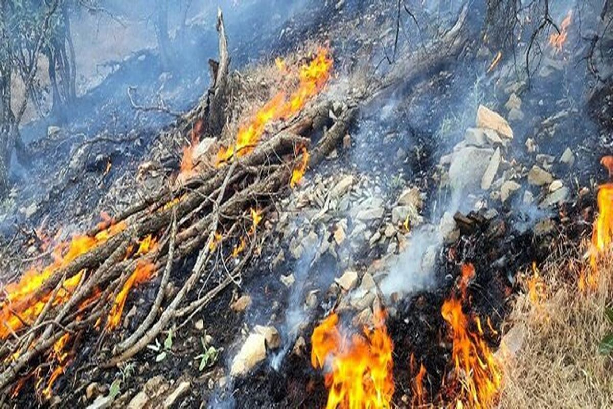 آتش سوزی در جنگل های بهمئی و لنده
