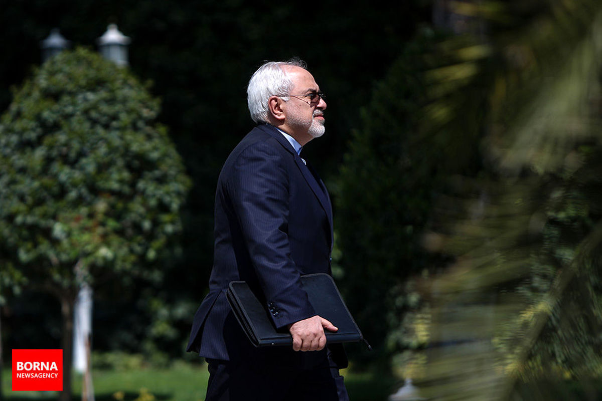 واکنش ظریف به حاشیه‌های دیدارش با وزیر امور خارجه فرانسه