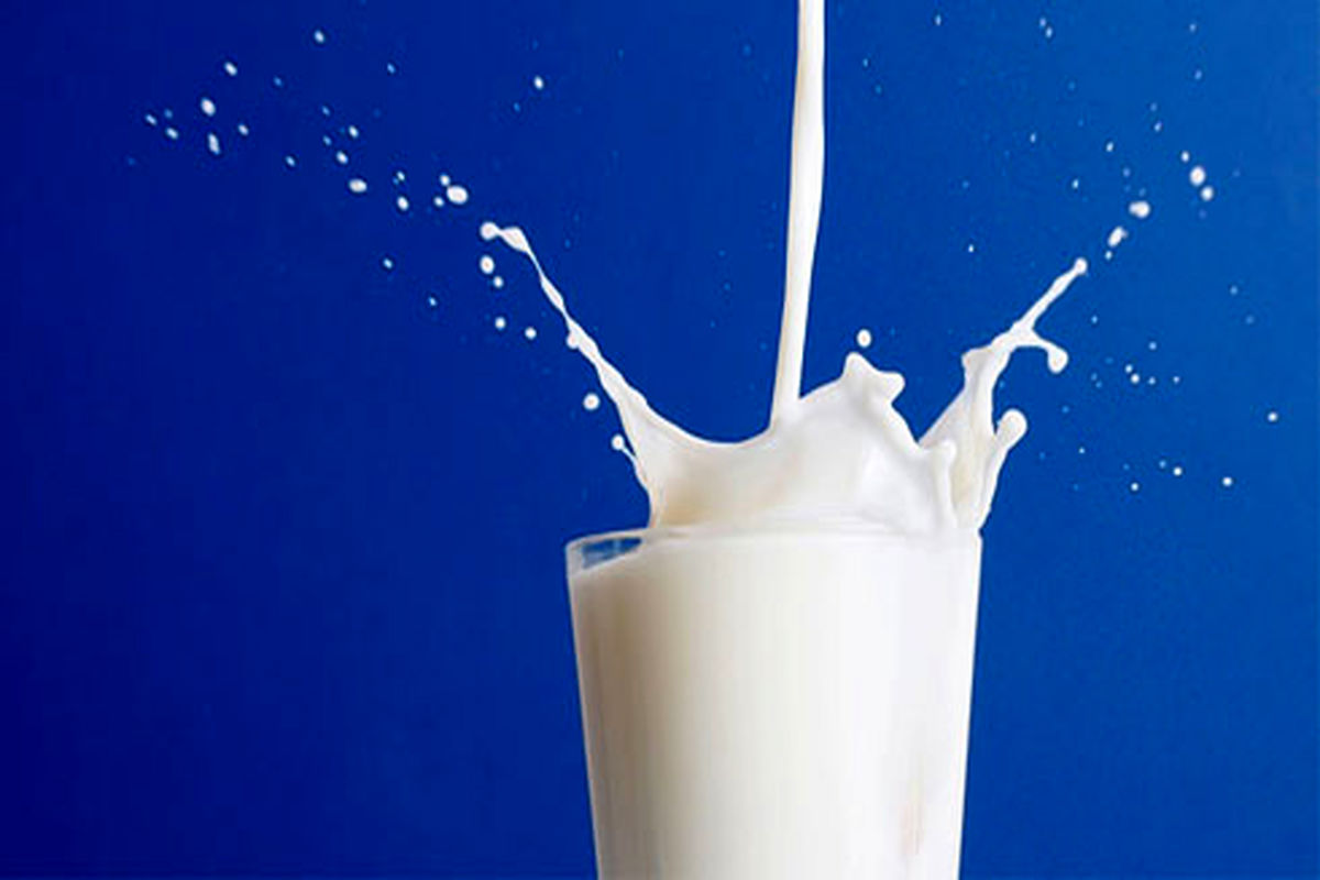باورهای غلط درباره «شیر» را بشناسید