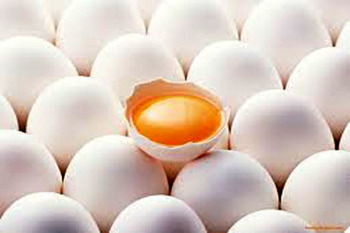 تقویت قوای جِنسی با «تخم مرغ»
