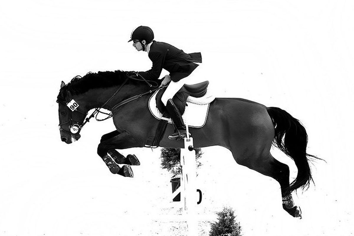 سوارکاران برتر مسابقات جام پدیده سازان سوارکاری مشخص شدند