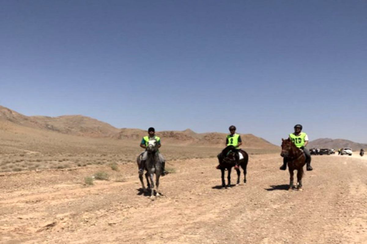 دومین دوره مسابقات استقامت استانی اسب سواری به میزبانی نجف آباد