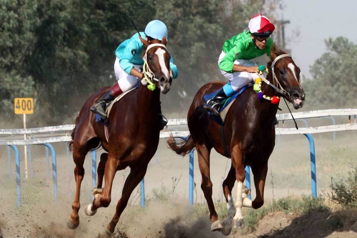 هفته ششم کورس تهران در مجموعه نوروزآباد برگزارشد