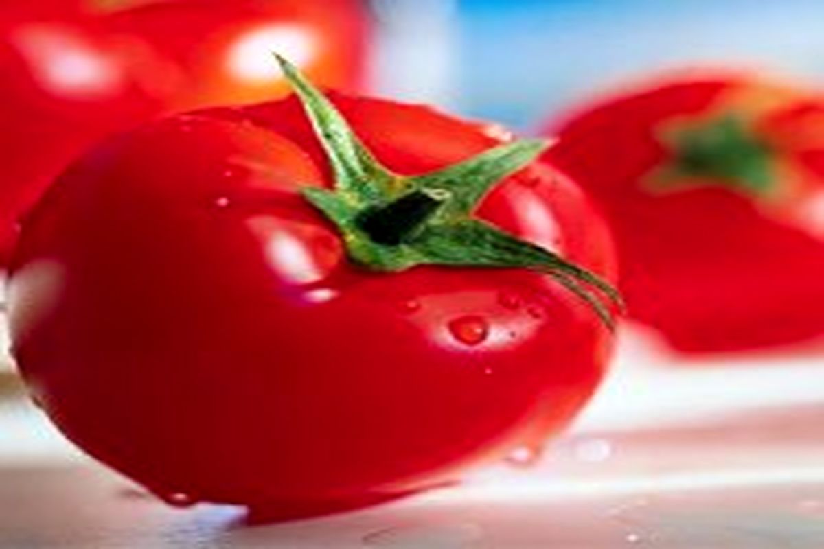 ۱۰ دلیل شگفت انگیز برای مصرف هرچه بیشتر گوجه فرنگی!