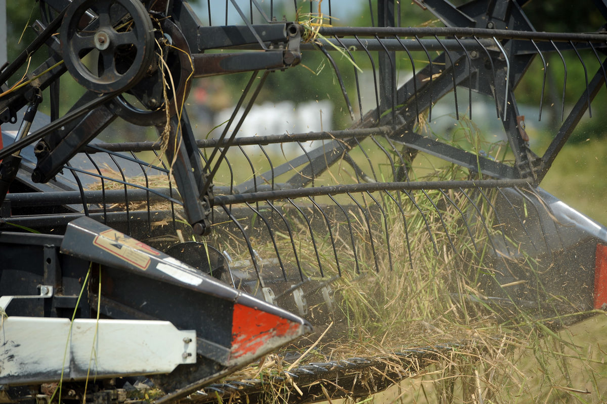 اتاق بازرگانی خراسان رضوی میزبان اعضای کمیسیون کشاورزی مجلس خواهد بود