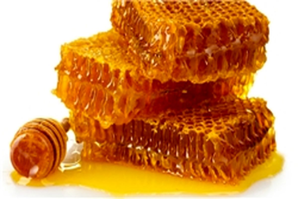 تولید ۳۶ تن عسل مرغوب در شهرستان آبدانان