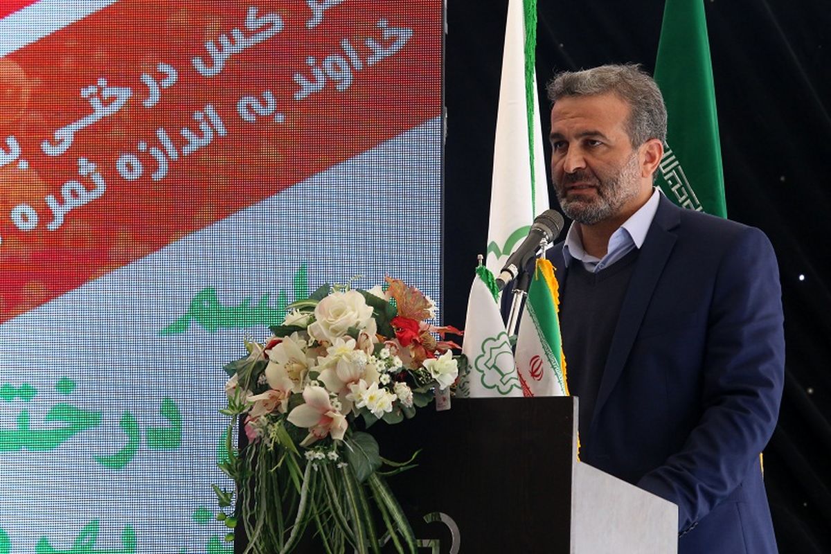 تعیین ۵ نقطه شهر ویژه ساماندهی وانت‌بارها