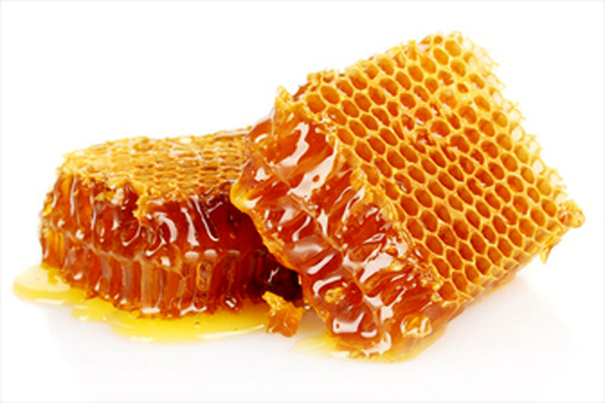 تولید سالیانه ۱۷۲ تن عسل در الیگودرز