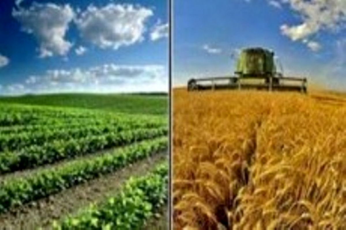 کشت فرا سرزمینی یکی از روش‌های تامین محصولات مورد نیاز کشاورزی در کشورهایی است که محدودیت منابع آب و زمین دارند