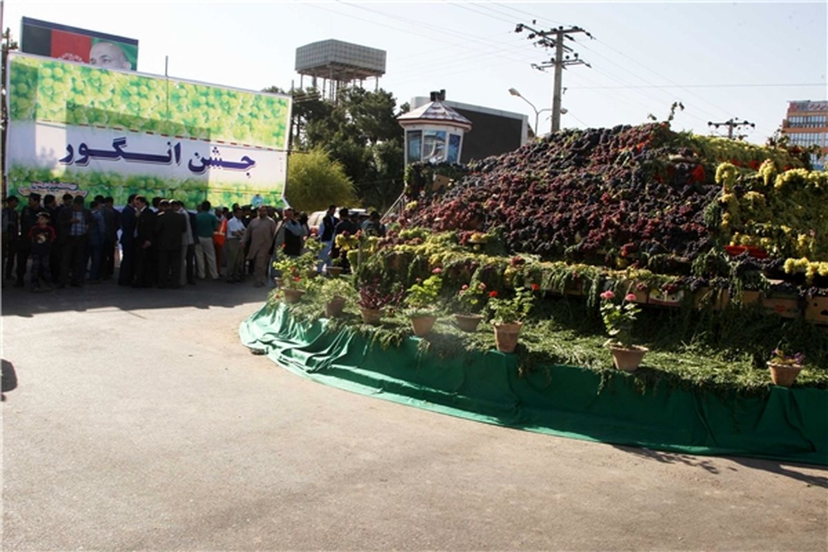 پنجمین جشنواره انگور فردا در ارومیه آغاز می‌شود