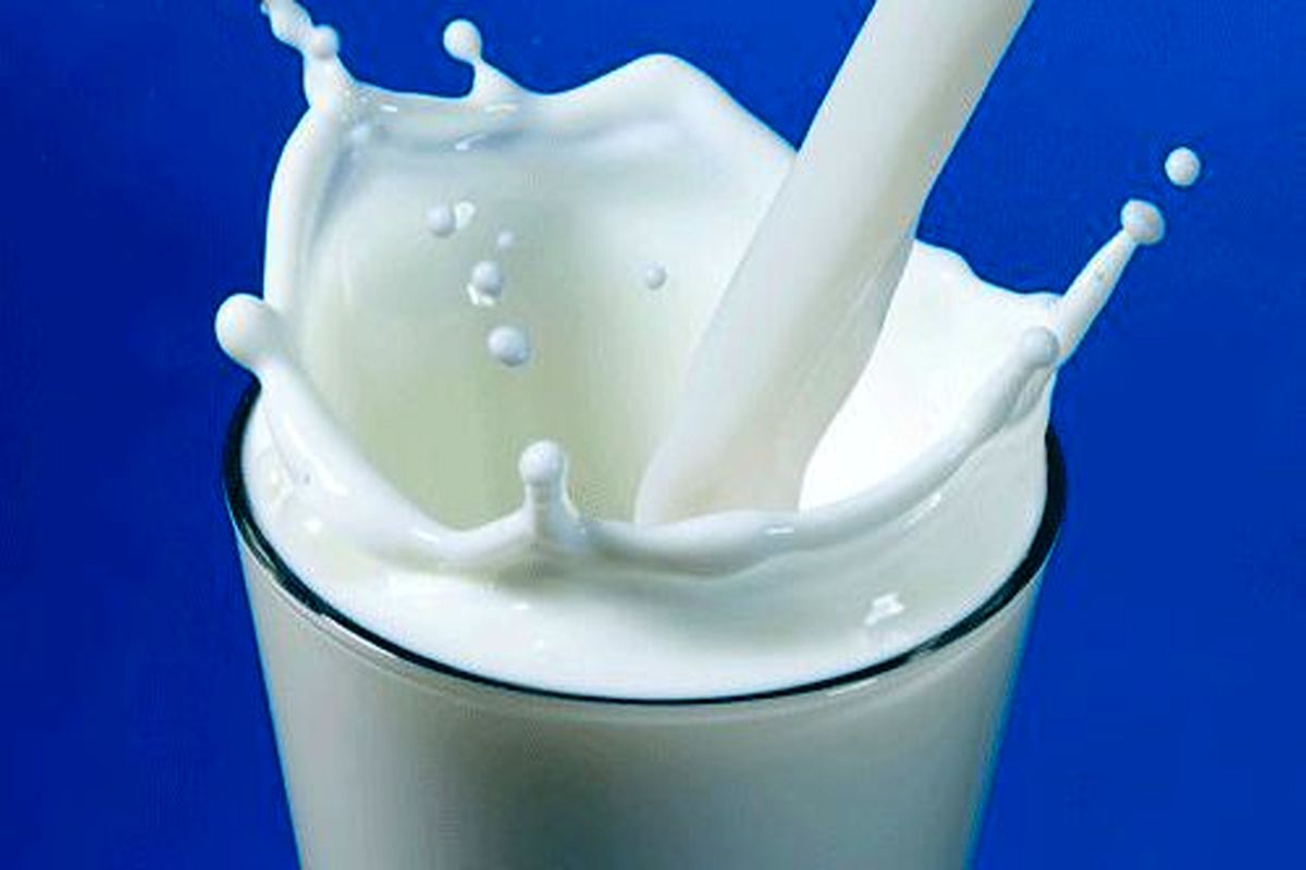 چرا شیر خوردن ناشتا برای سلامت بدن مضر است؟