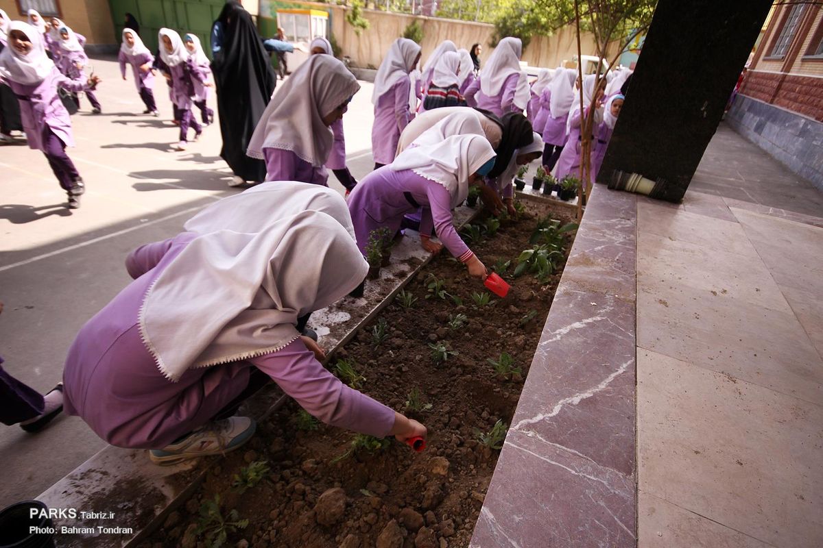 گلکاری مدارس تبریز در آستانه آغاز سال تحصیلی جدید