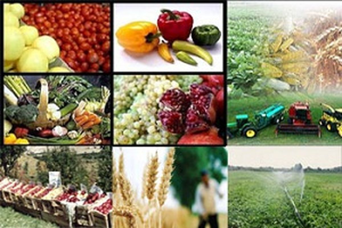 محصولات کشاورزی اردبیل به بازار روسیه صادر می‌شود