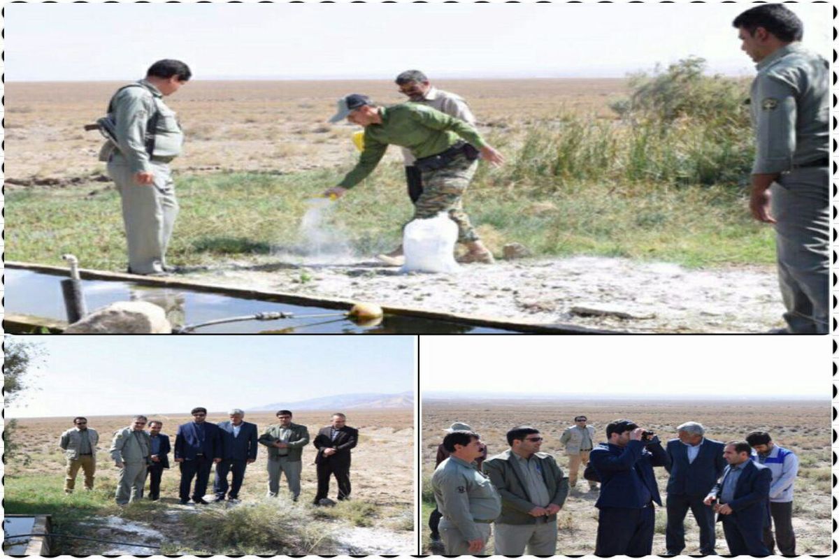 بازدید مدیرکل محیط زیست خراسان شمالی از پارک ملی سالوک اسفراین