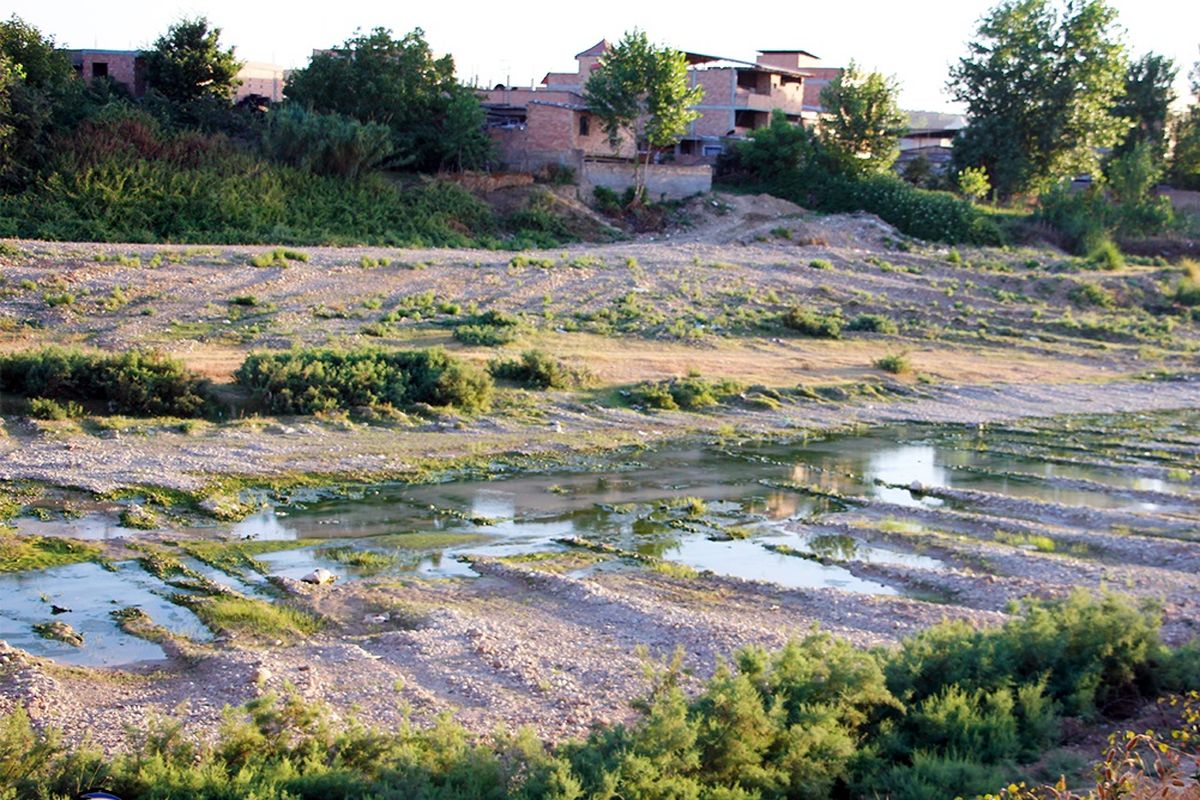 خسارت خشکسالی در اردبیل ۱۳۰ میلیارد تومان برآورد شد