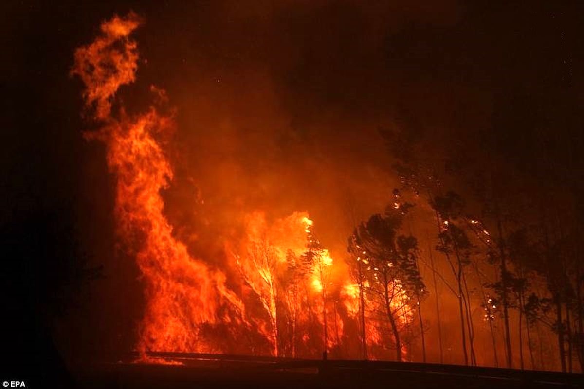 تصاویر وحشتناک از آتش سوزی پرتغال/ ۳۶نفر تاکنون جان باخته‌اند