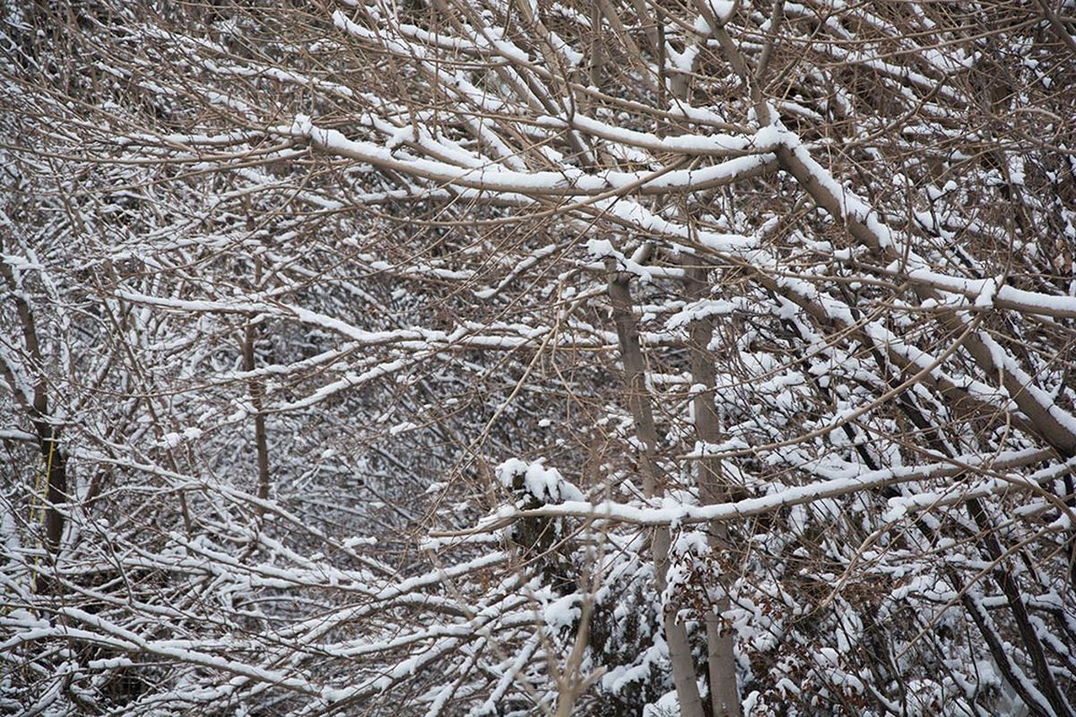 اولین برف پاییزی در روستاهای چالدران