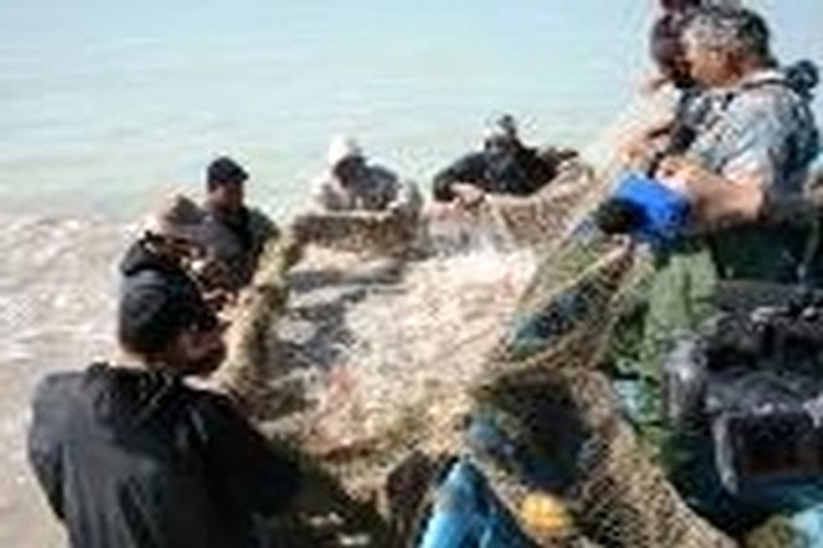جمع آوری هزار متر تور غیر مجاز صید ماهی