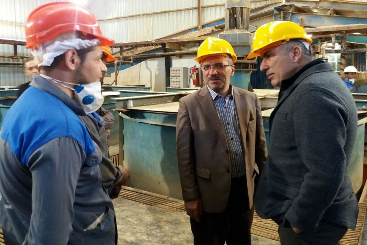بازدید رییس سازمان صنعت قزوین از چند واحد صنعتی و معدنی در شهرک صنعتی آراسنج و لیا
