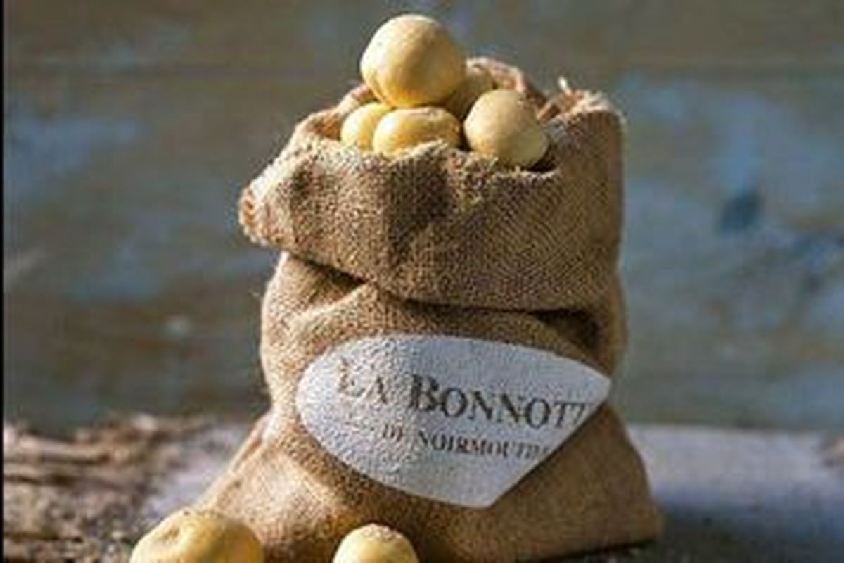 با گران‌ترین سیب زمینی جهان آشنا شوید