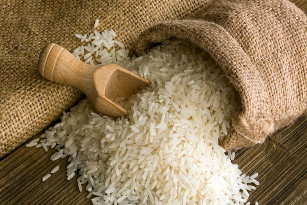 برنج تراریخته با خاصیت مولتی ویتامین تولید می شود