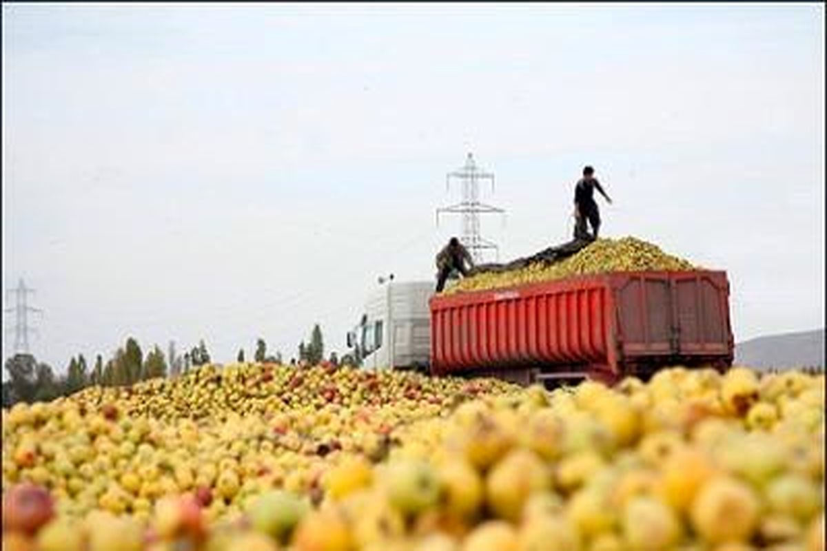 سفر معاون باغبانی وزیر جهاد کشاورزی به ارومیه