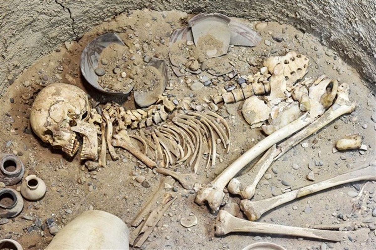 کشف ۶۶ قبر باستانی در شانزدهمین فصل کاوش "شهر سوخته" سیستان